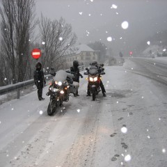 Reunión Invernal Arguis